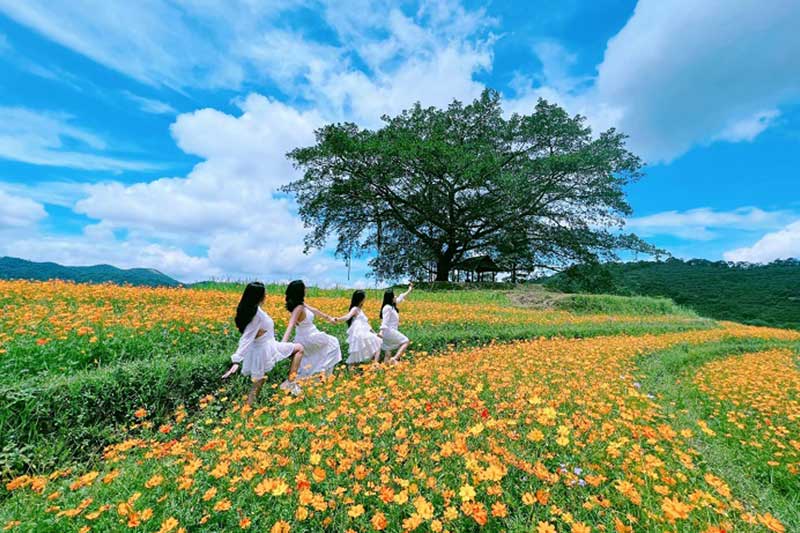 HÁI CAM, LỘI SUỐI HOÀ BÌNH 1 NGÀY