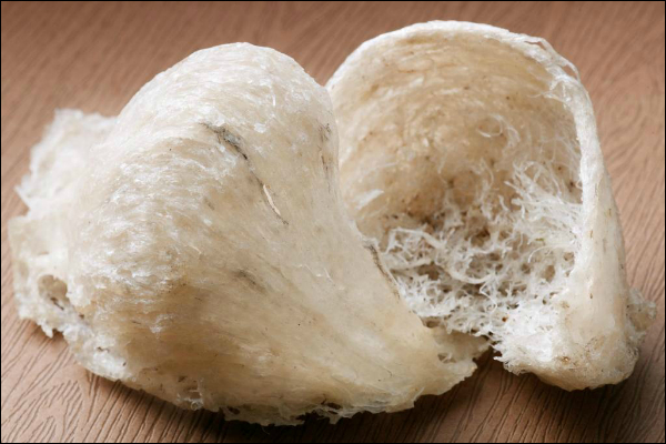 Bạch yến đảo thô loại 1