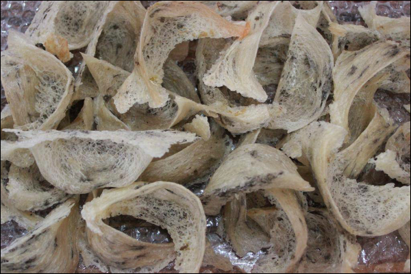 Bạch yến thô loại 2