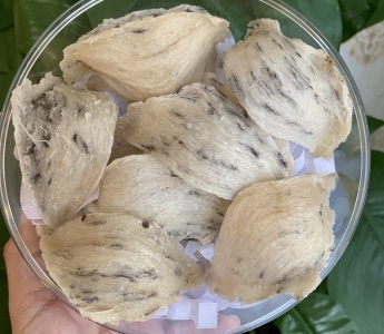 Bạch yến thô loại 1