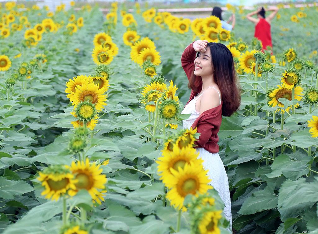 Vũng Tàu, Đồng Nai – Điểm du lịch cho người có ít thời gian