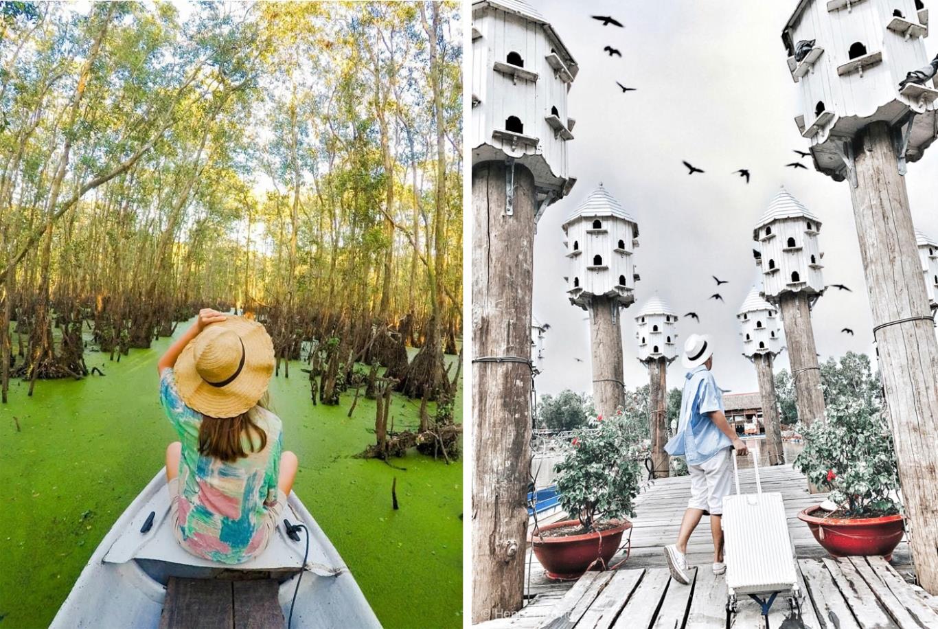 Về miền Tây trải nghiệm chèo thuyền khám phá Rừng tràm Trà Sư