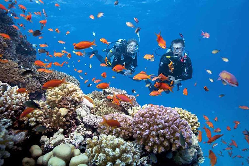 Những điều cần biết trước khi tham gia tour lặn biển Nha Trang
