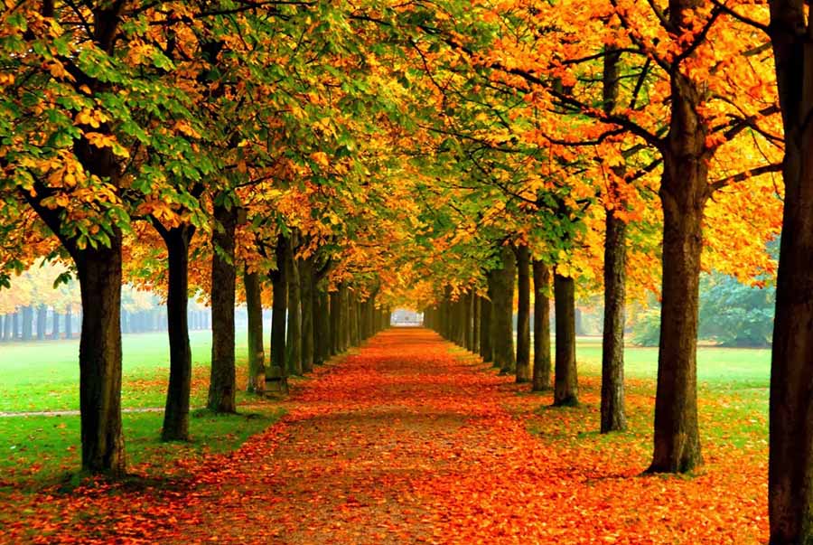 Kinh nghiệm du lịch Hàn Quốc