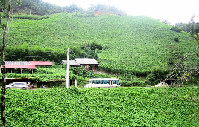 Thăm San Sả Hồ – “lãnh địa” của su su
