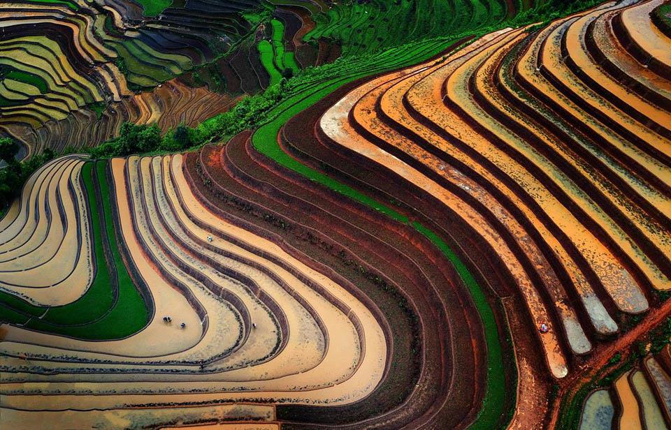 Thăm ruộng bậc thang Hoàng Su Phì, tour trải nghiệm hè khó quên