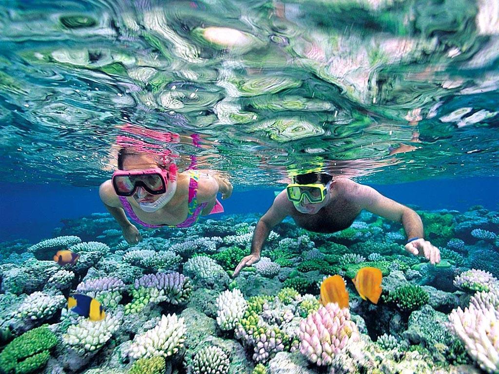 Kinh nghiệm lặn biển Nha Trang