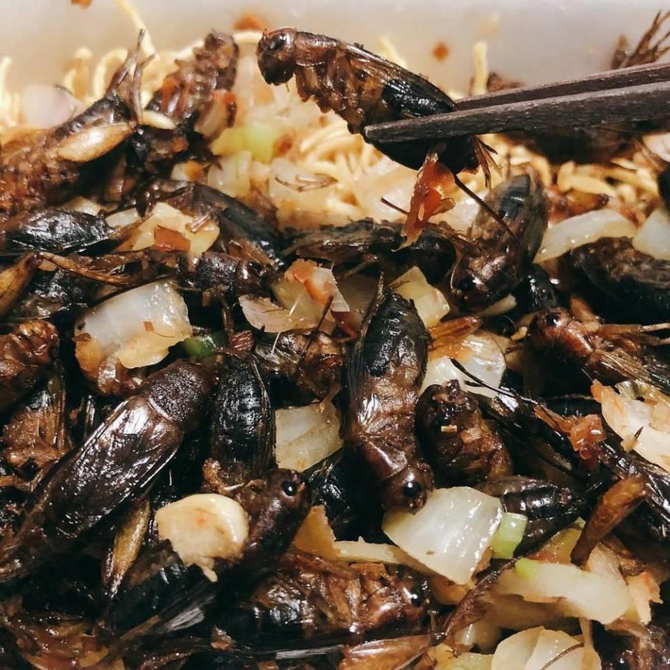 Du lịch Kon Tum nhất định phải thưởng thức những món ngon nào?