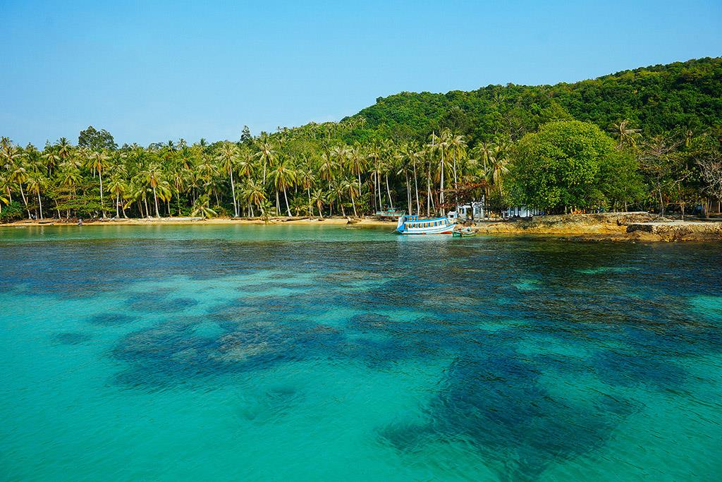 Khám phá đại dương Việt Nam qua các tour lặn biển