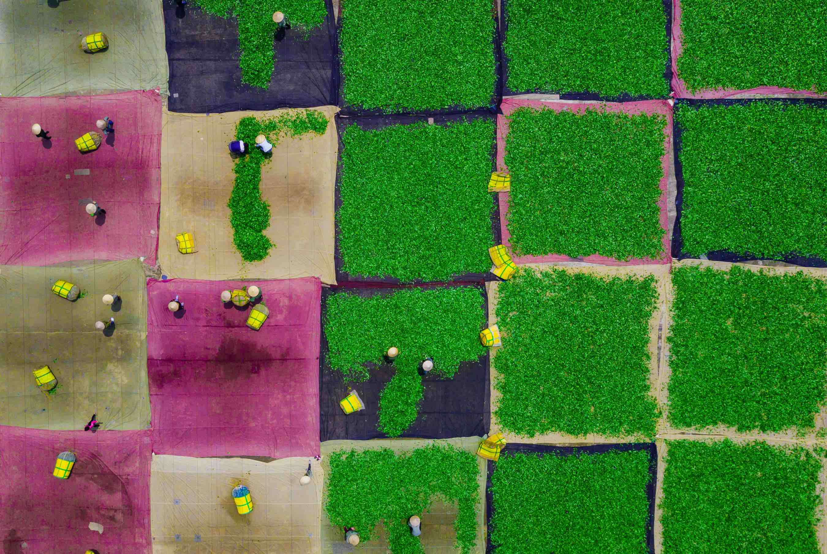 Ảnh du lịch Việt Nam vào top đẹp nhất thế giới