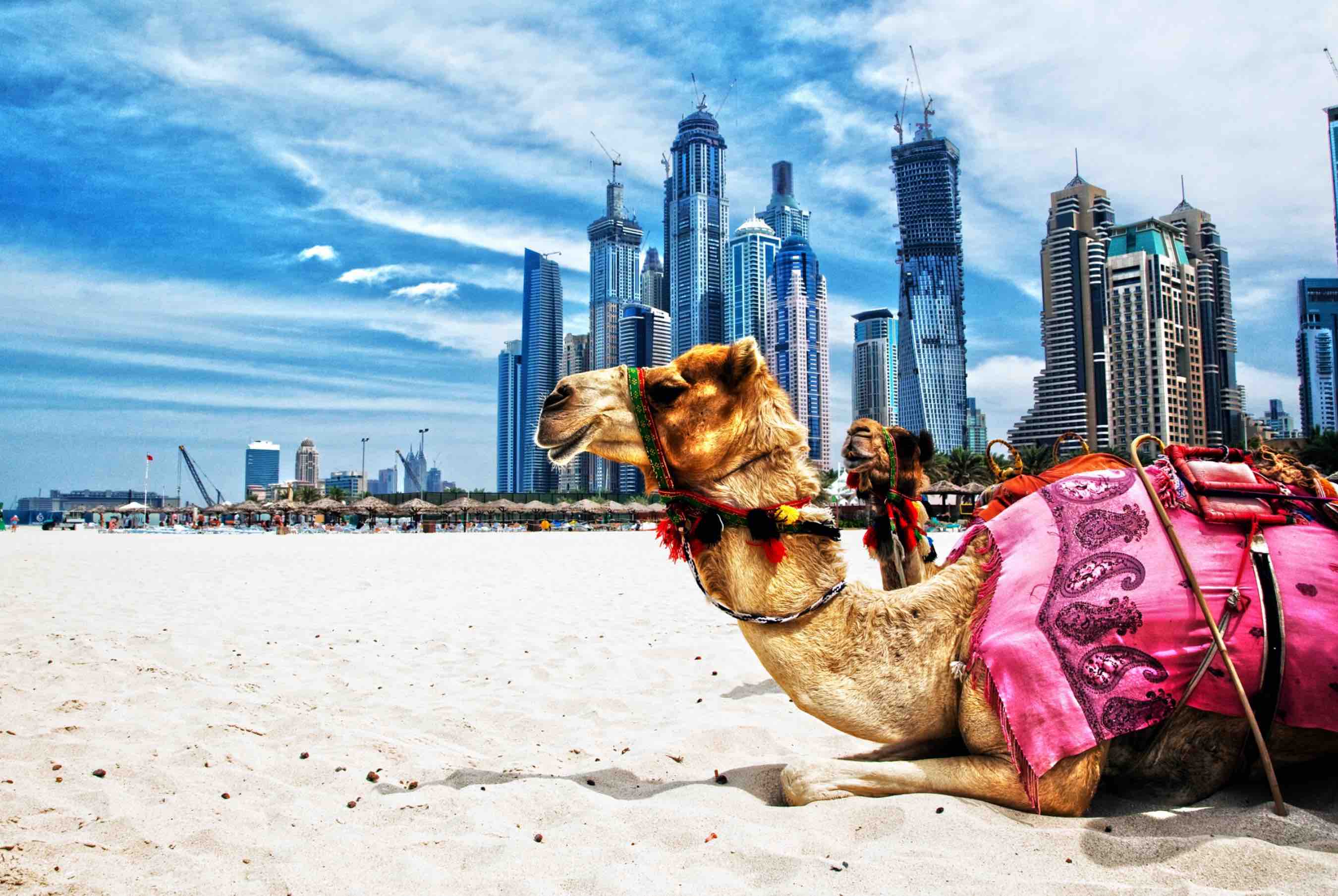 Cẩm nang du lịch Dubai từ A đến Z