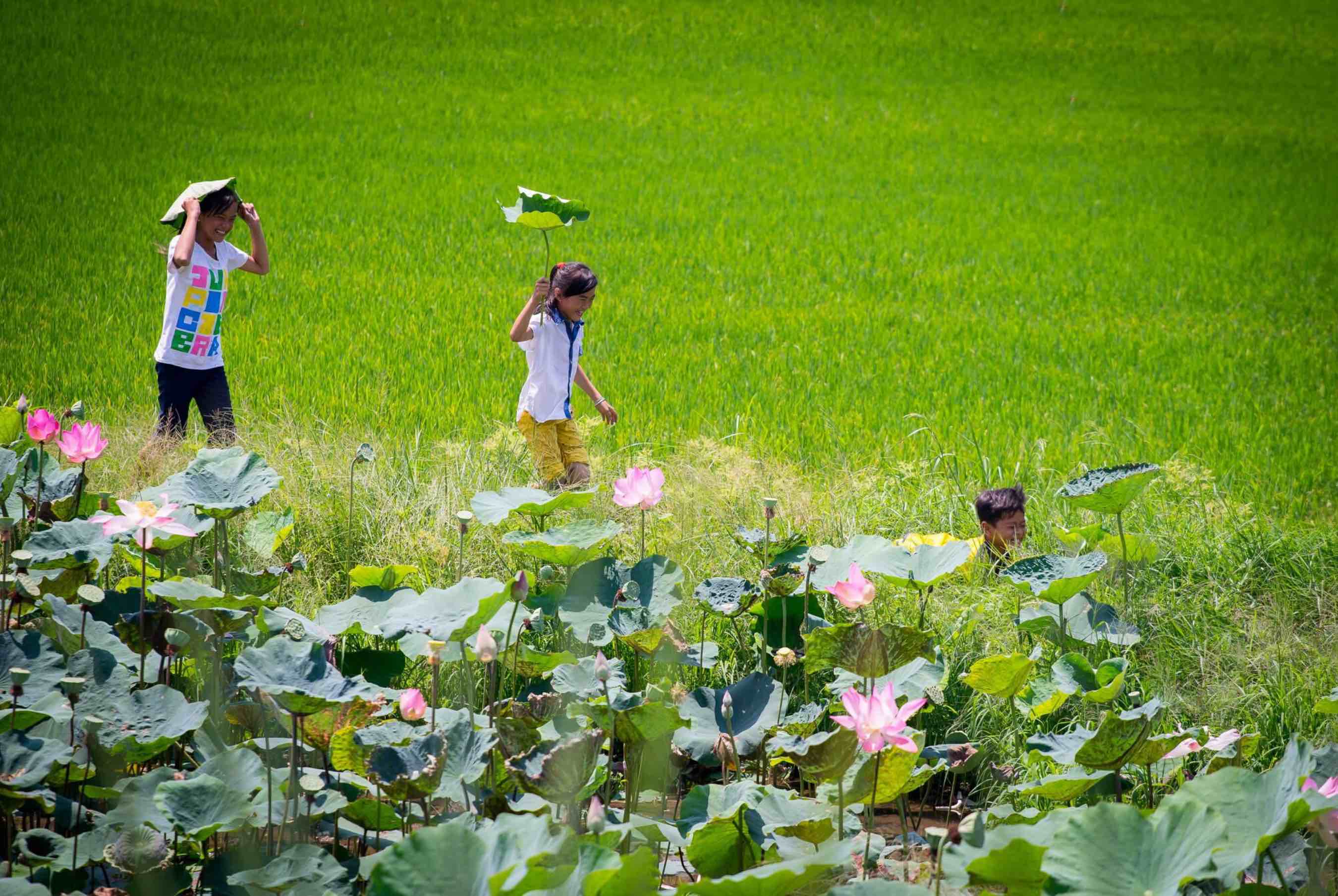 Kinh nghiệm du lịch Đồng Tháp