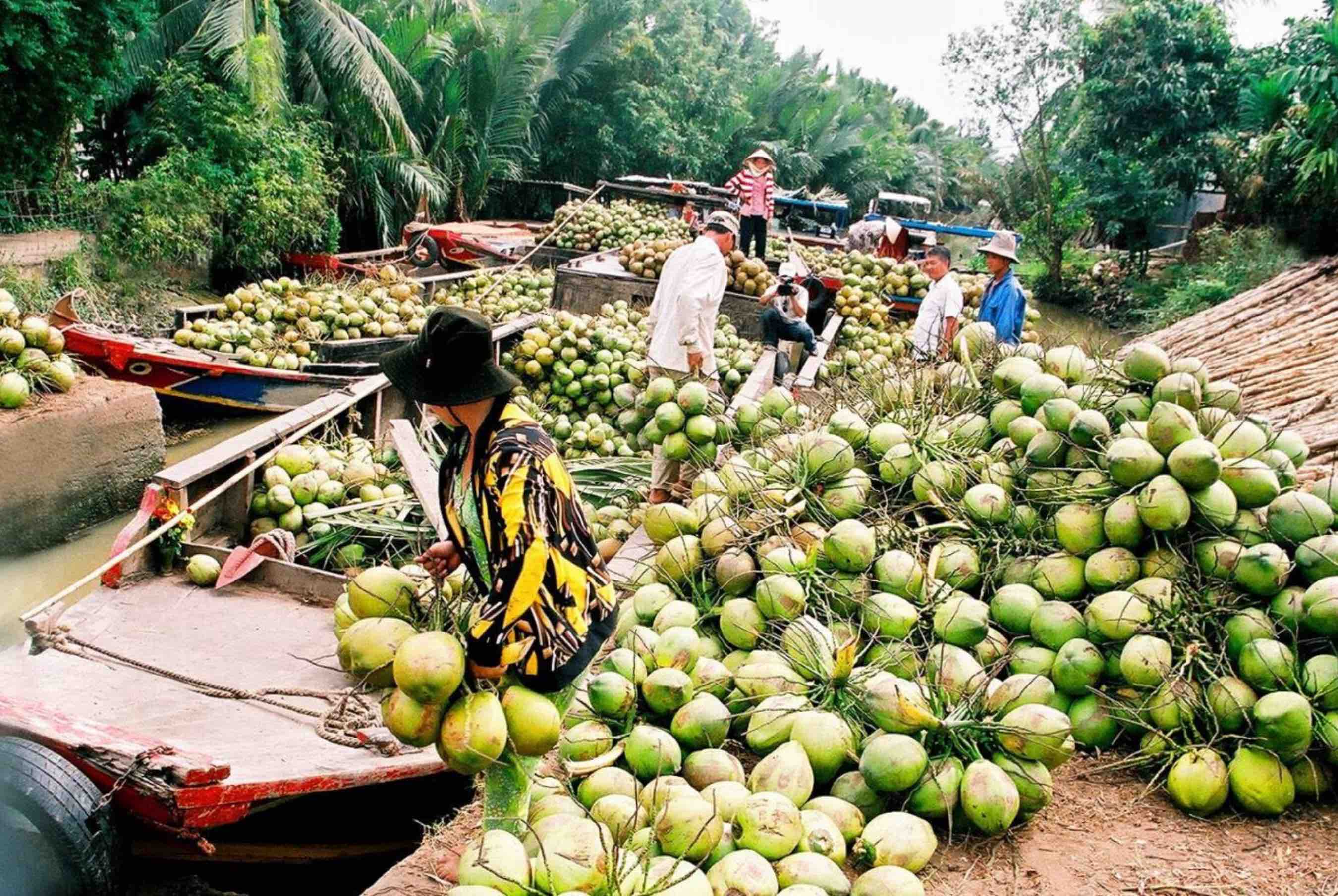 Kinh nghiệm du lịch Bến Tre