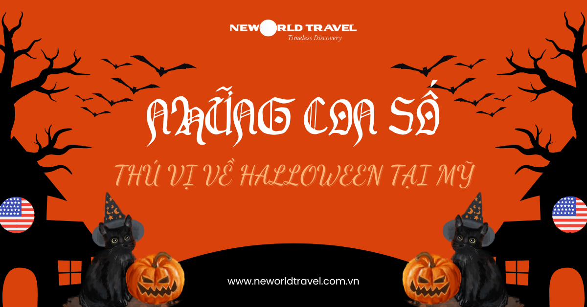 🎃 NHỮNG CON SỐ THÚ VỊ VỀ HALLOWEEN TẠI MỸ 🇺🇸