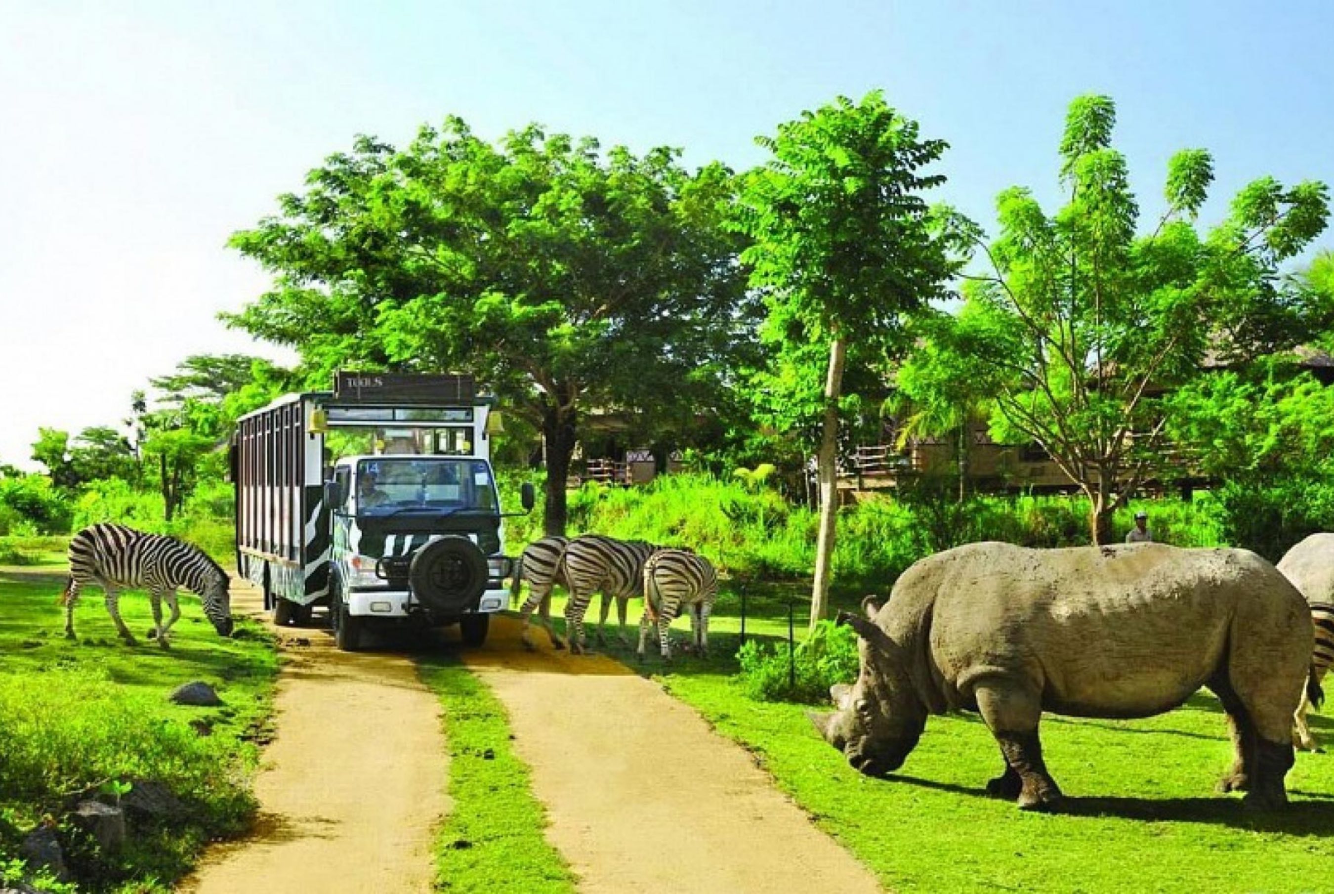 Vườn Thú Safari World - Thái Lan