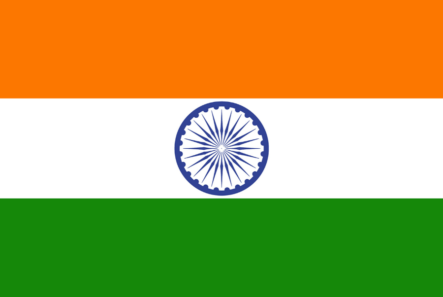 Visa Ấn Độ VIP (01 lần)