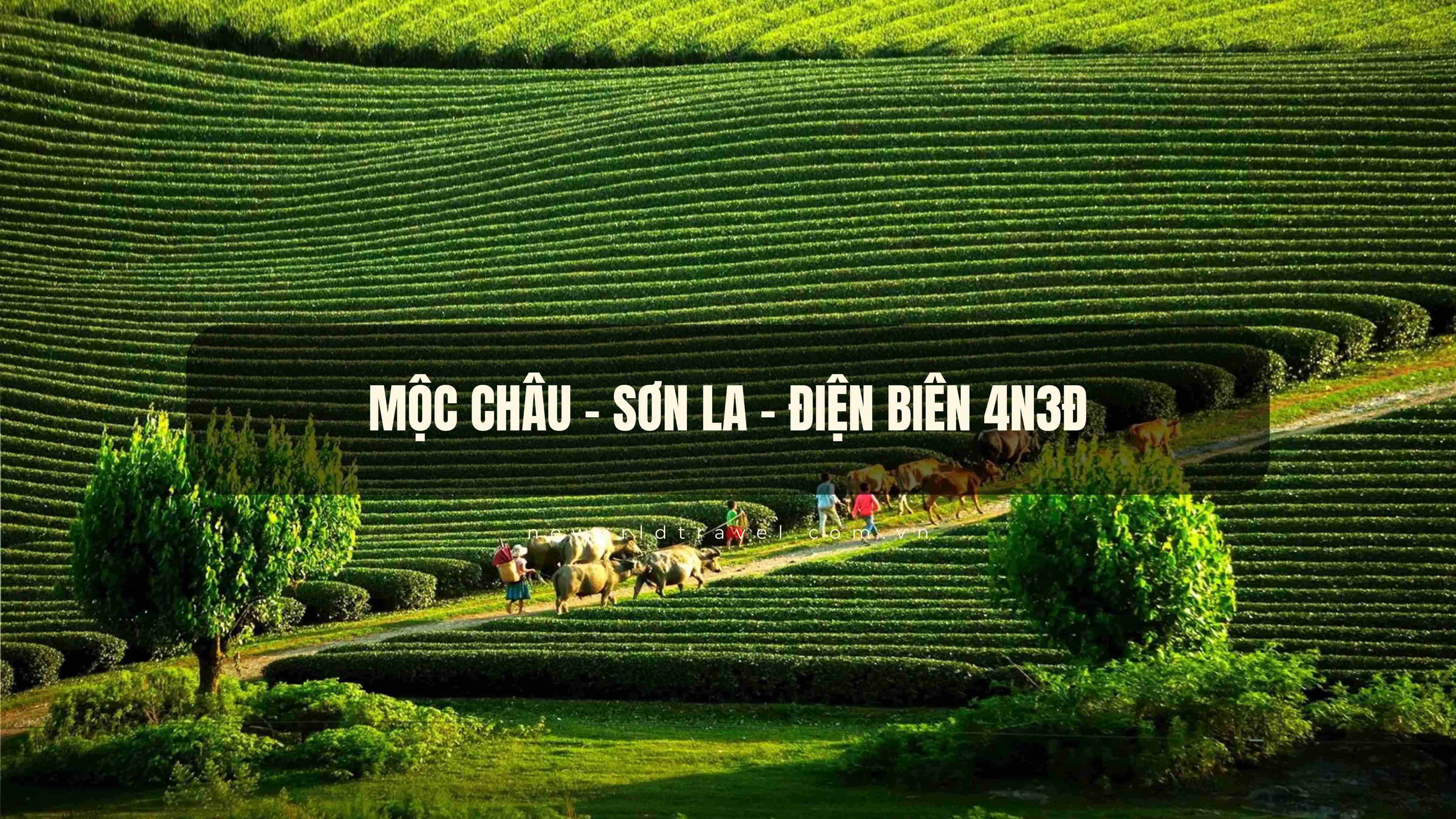 Mộc Châu - Sơn La - Điện Biên 4N3Đ