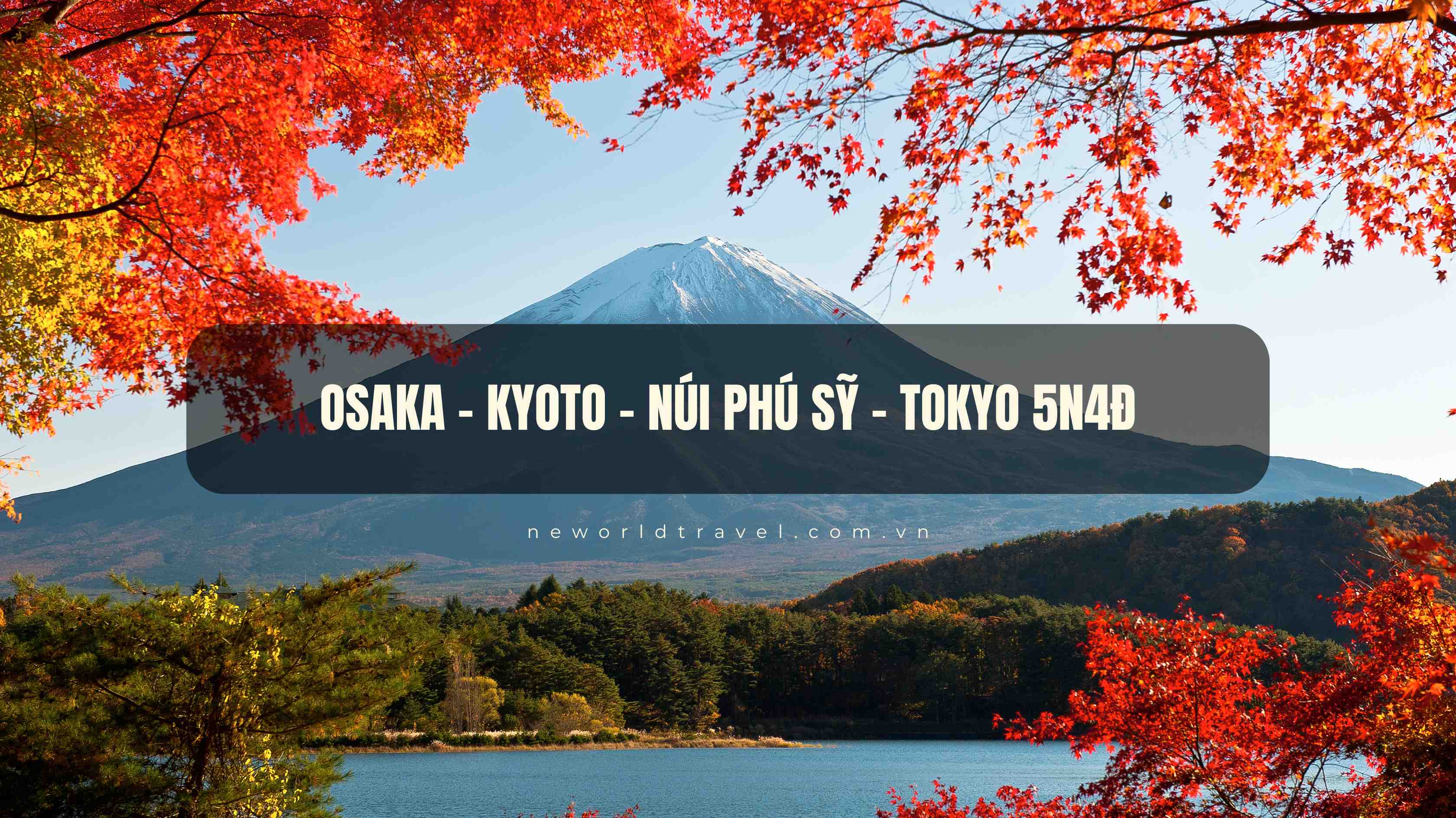 Osaka - Kyoto - Núi Phú Sĩ - Tokyo 5N4Đ