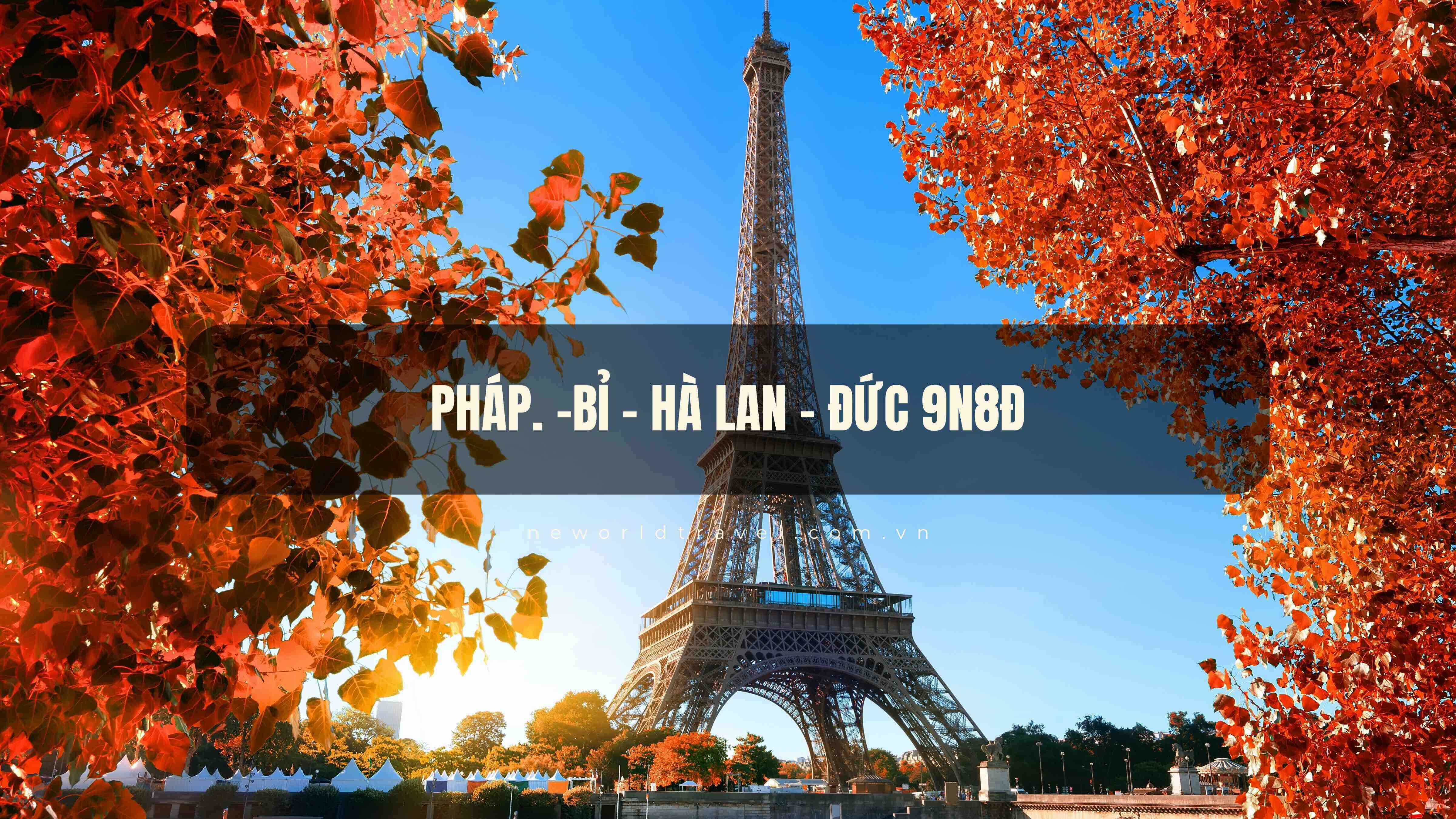 Châu Âu: Pháp - Bỉ - Hà Lan - Đức 9N8Đ