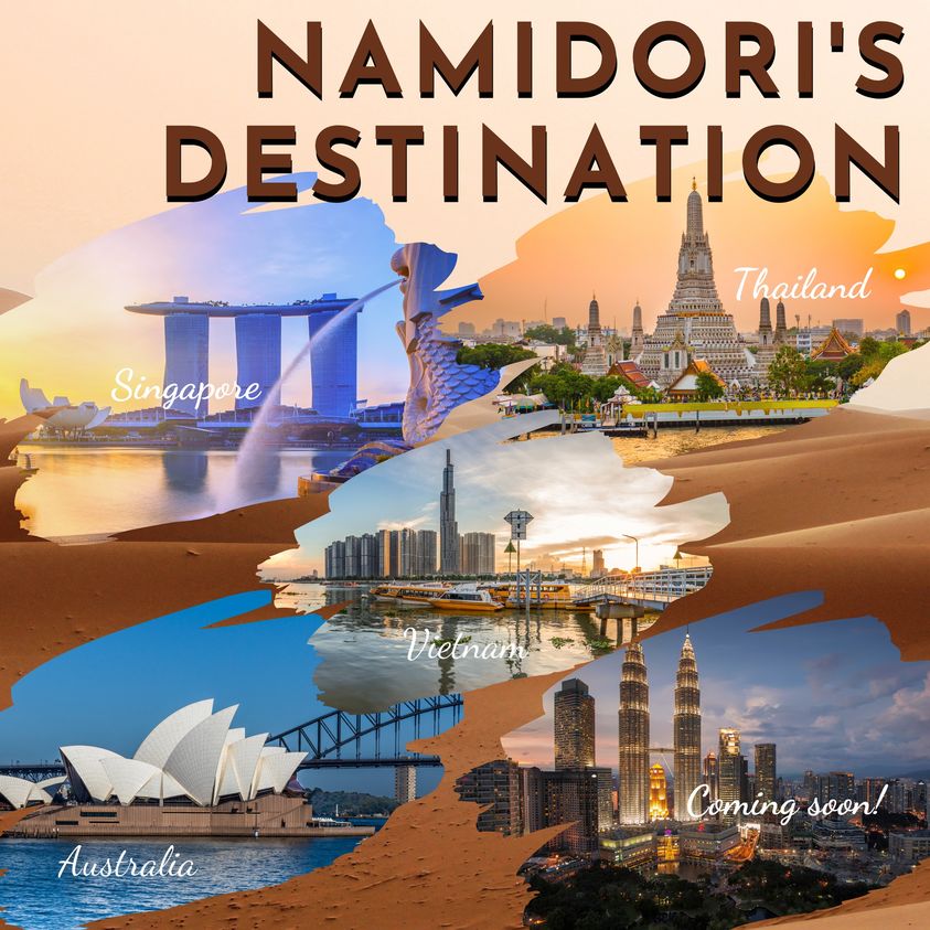 namidori shoes