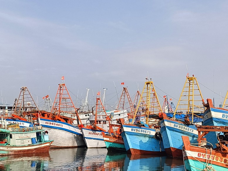 TIN ÁP THẤP NHIỆT ĐỚI TRÊN BIỂN ĐÔNG