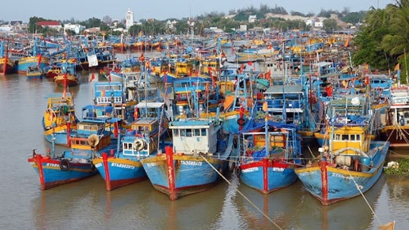 BẢN TIN Dự báo ngư trường khai thác nghề rê (Hạn tháng, tháng 8/2025) (01-08-2025)
