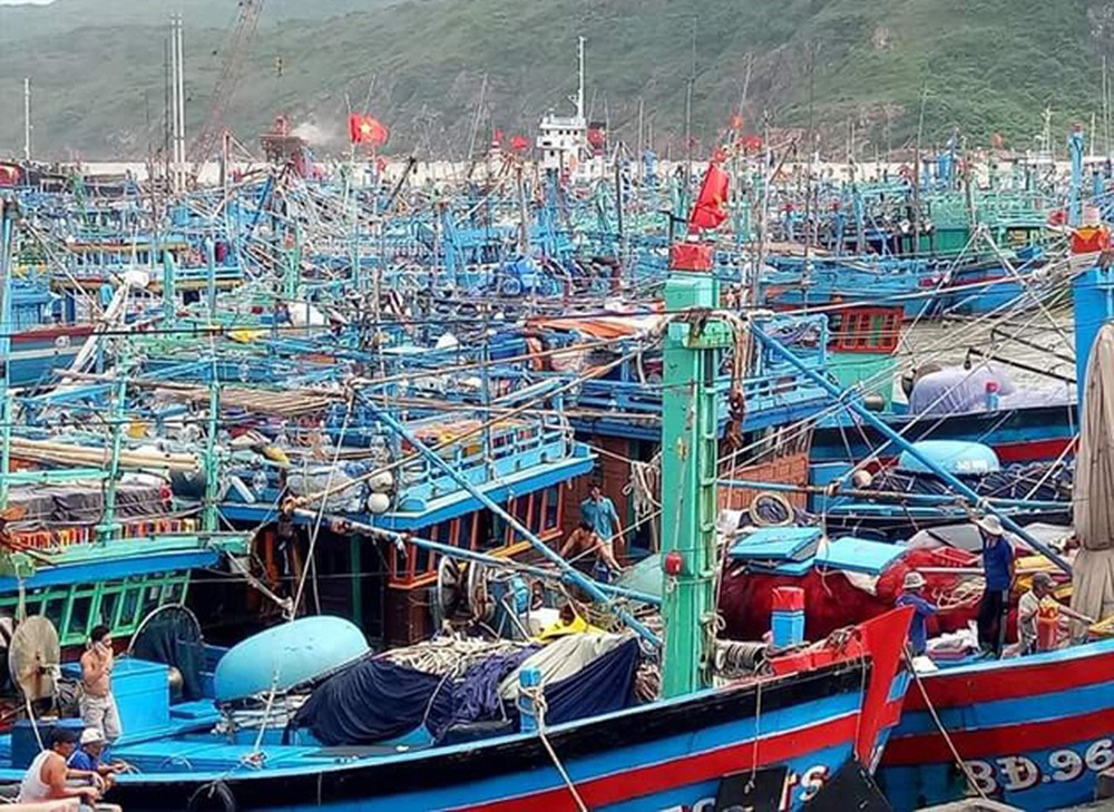 BẢN TIN Dự báo ngư trường khai thác cá ngừ vằn (Hạn tháng, tháng 11/2024) (01-11-2024)