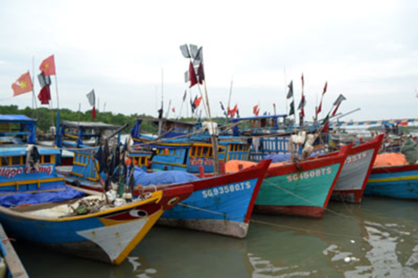 Thành phố Hồ Chí Minh: Kiên quyết không cho xuất bến đối với các tàu cá không đáp ứng quy định