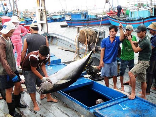 BẢN TIN Dự báo ngư trường khai thác cá ngừ vằn (Hạn tháng, tháng 10/2022) (01-10-2022)