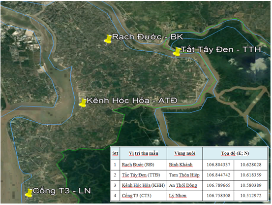 SỰ HIỆN DIỆN PHIÊU SINH THỰC VẬT (TẢO) TRONG TỰ NHIÊN