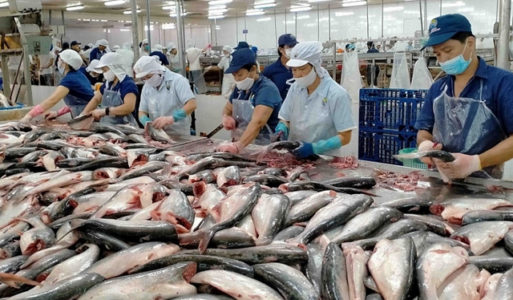Dự báo xuất khẩu cá tra tiếp tục giữ đà tăng trưởng