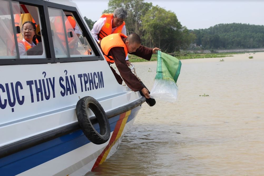 Chương trình thả cá giống tái tạo nguồn lợi thủy sản tại huyện Củ Chi - TPHCM