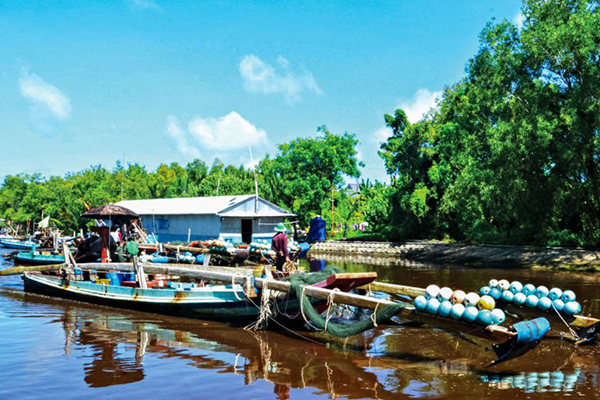 Từ nay tới 2030, giảm dần nghề khai thác không thân thiện với môi trường (22-01-2024)