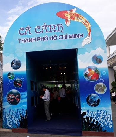 Hội chợ - Triển lãm: Cá cảnh được diễn ra từ ngày 20/9/2018 đến 24/9/2018