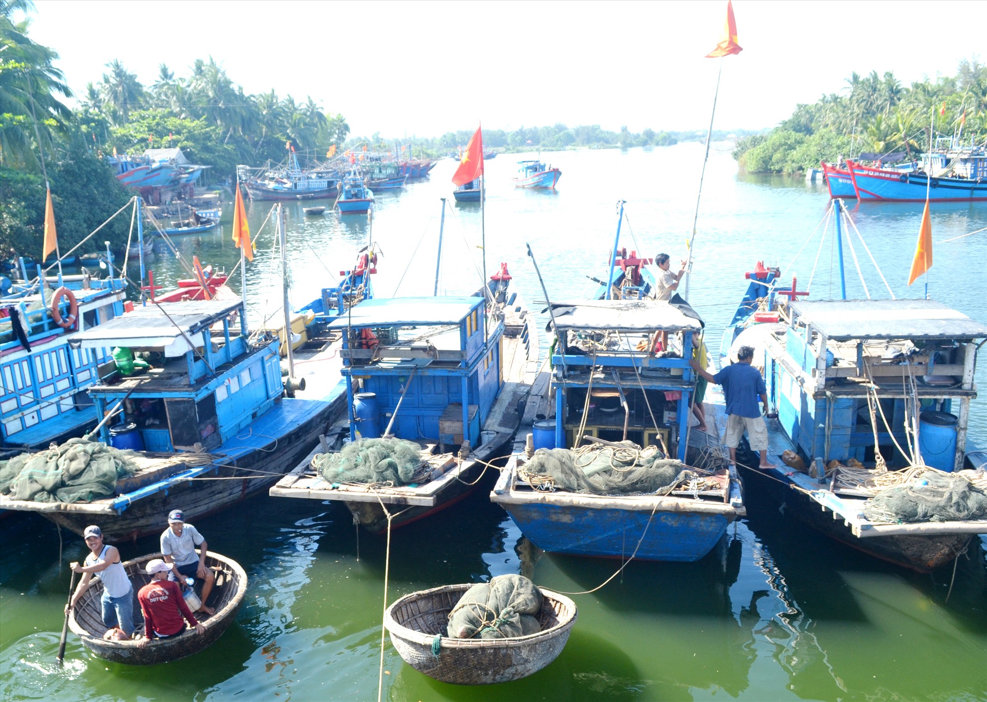 BẢN TIN THỬ NGHIỆM Dự báo ngư trường khai thác cá ngừ vằn (Hạn tháng, tháng 12/2022) (01-12-2022)