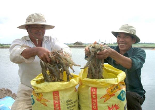 Không để thủy sản nuôi bị thiệt hại trong mùa mưa bão