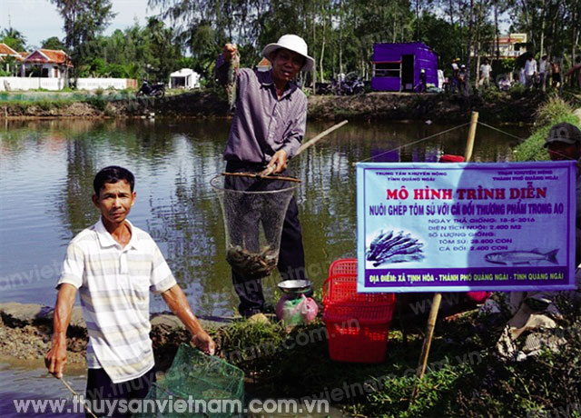 Lợi nhuận kép từ nuôi ghép