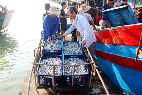 BẢN TIN  Dự báo ngư trường khai thác nghề rê  (Hạn tháng, tháng 02/2025) (01-02-2025)