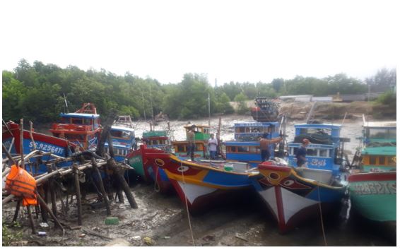 Thành phố Hồ Chí Minh thực hiện các giải pháp chống khai thác hải sản bất hợp pháp, không báo cáo và không theo quy định