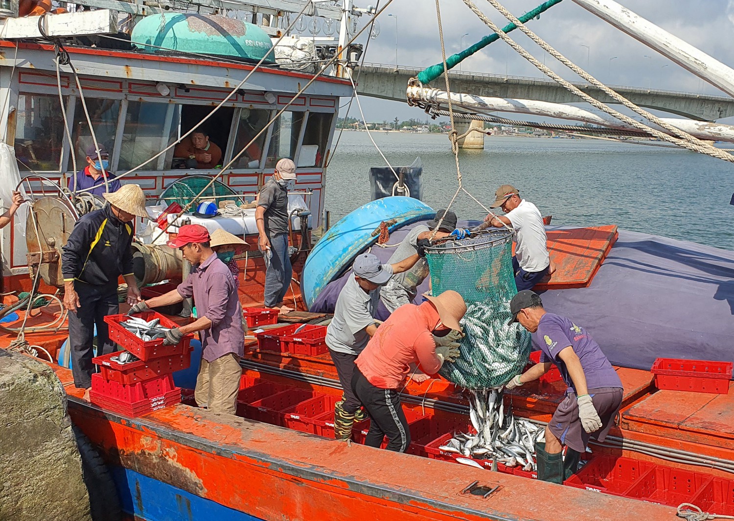 BẢN TIN Dự báo ngư trường khai thác nghề rê (Hạn tháng, tháng 03/2023) (01-03-2023)