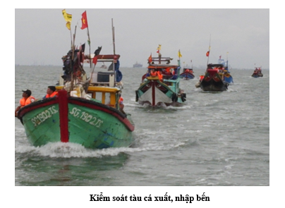 Họp trực tuyến lần thứ năm Ban Chỉ đạo quốc gia về chống khai thác hải sản bất hợp pháp, không báo cáo và không theo quy định