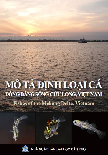 Mô tả định loại cá_Đồng Bằng Sông Cửu Long-Việt Nam
