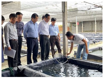 Lãnh đạo Bộ Nông nghiệp và Phát triển nông thôn đến thăm và làm việc với hợp tác xã và doanh nghiệp cá cảnh tại huyện Củ Chi, Thành phố Hồ Chí Minh