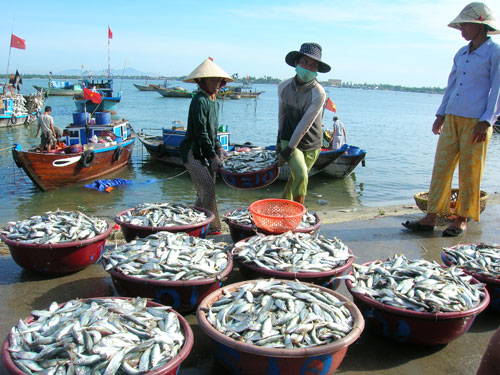 BẢN TIN  Dự báo ngư trường khai thác cá nổi nhỏ  (Hạn tháng, tháng 01/2025) (01-01-2025)