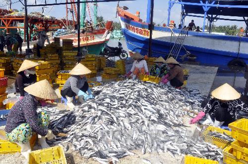 BẢN TIN Dự báo ngư trường khai thác cá nổi nhỏ (Hạn tháng, tháng 05/2023) (01-05-2023)