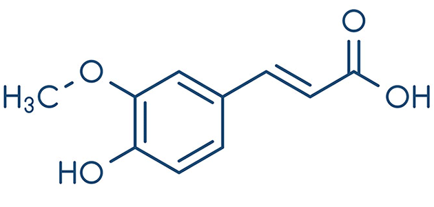 Acid ferulic là chất chống oxy hóa mạnh mẽ 