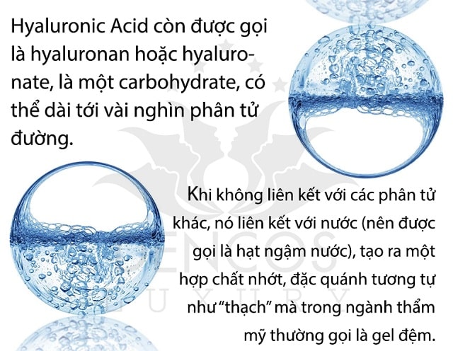 Axit hyaluronic tự nhiên của cơ thể