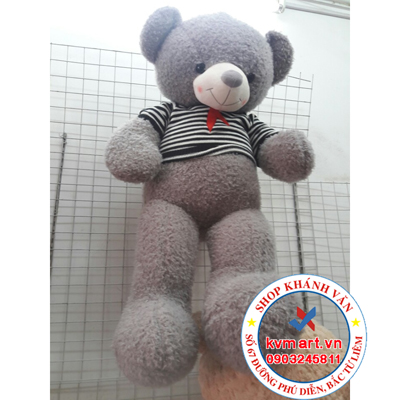 cach-ve-sinh-gau-teddy.jpg