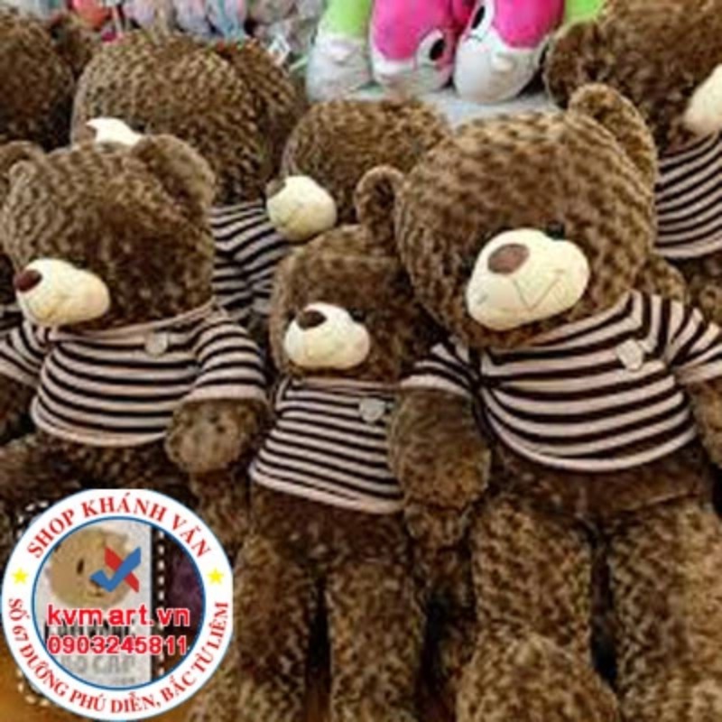 Gấu Teddy Cafe 1m8