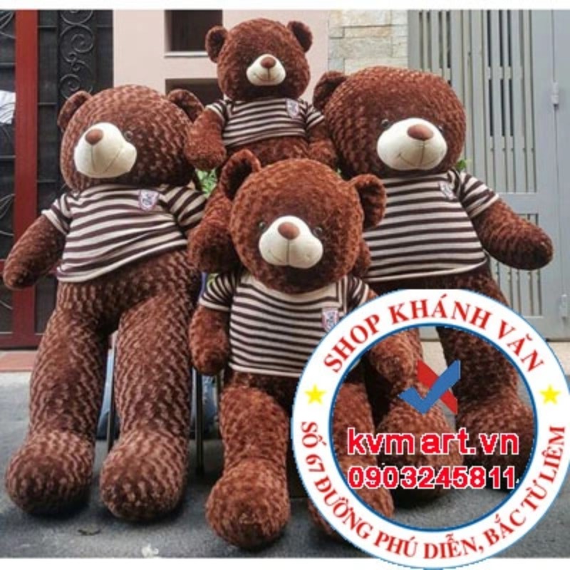 Gấu Teddy Cafe 1m7